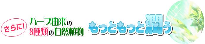 �G�{�����[�S�[���h�@���N�R�[�|���[�V����