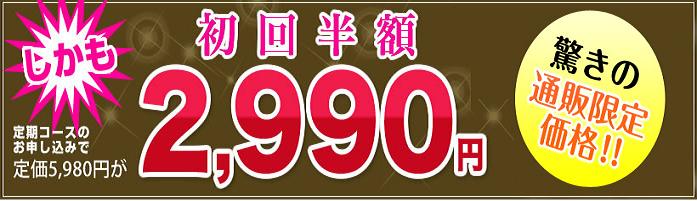 �G�{�����[�S�[���h�@���N�R�[�|���[�V����